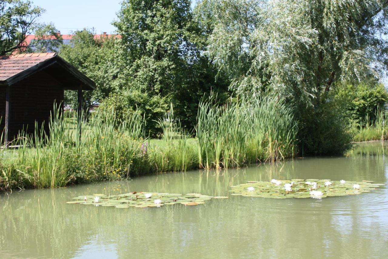 Gasthof Koller Mariasdorf Exteriér fotografie